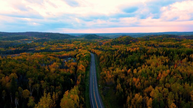 Aerial view of a two-lane North Shore highway winding through birch and aspen fall colors in Minnesota
