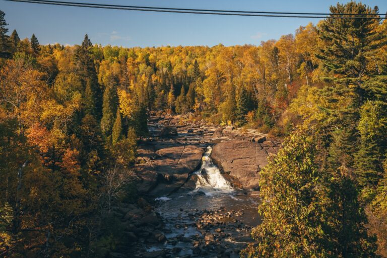 Golden birch and aspen fall colors above a waterfall and river gorge on Minnesota's North Shore